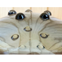 Annaleena Hakatie Iittala Ballo votive